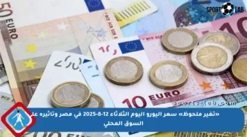 «تغير ملحوظ» سعر اليورو اليوم الثلاثاء 12-8-2025 في مصر وتأثيره على السوق المحلي